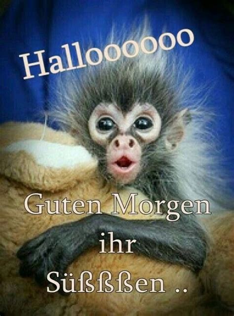 lustig guten morgen